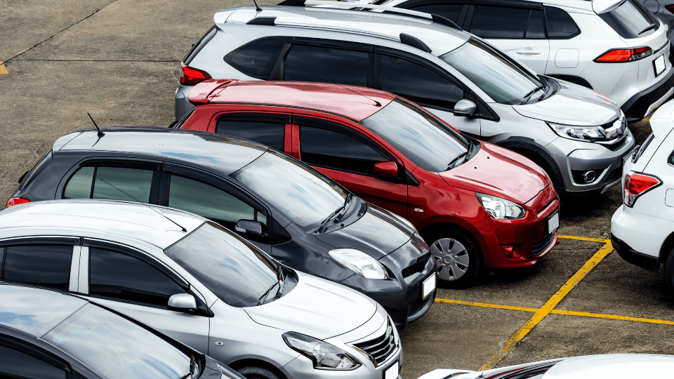 LN Vehicle Rental